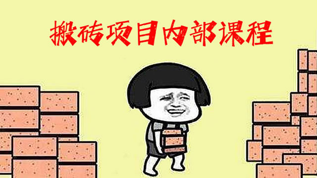 国内外Steam搬砖项目内部培训课程，纯操作项目，无需引流，可长期操作！